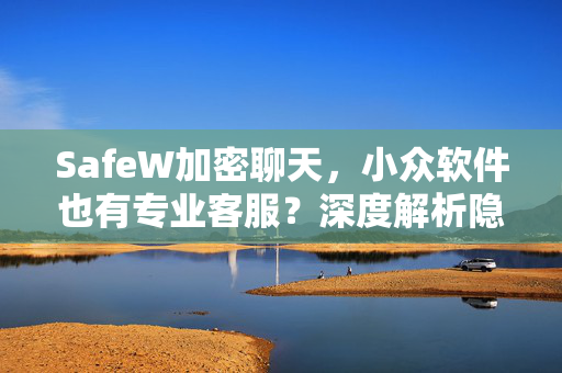 SafeW加密聊天，小众软件也有专业客服？深度解析隐私安全与售后保障