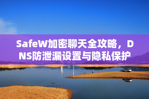 SafeW加密聊天全攻略，DNS防泄漏设置与隐私保护终极指南