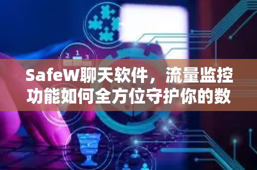 SafeW聊天软件，流量监控功能如何全方位守护你的数字隐私与通信安全